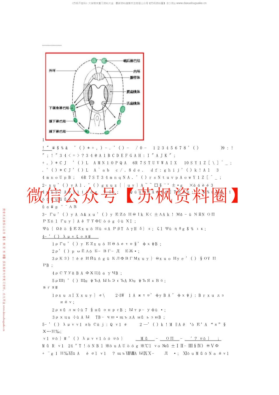 耳鼻咽喉头颈外科学